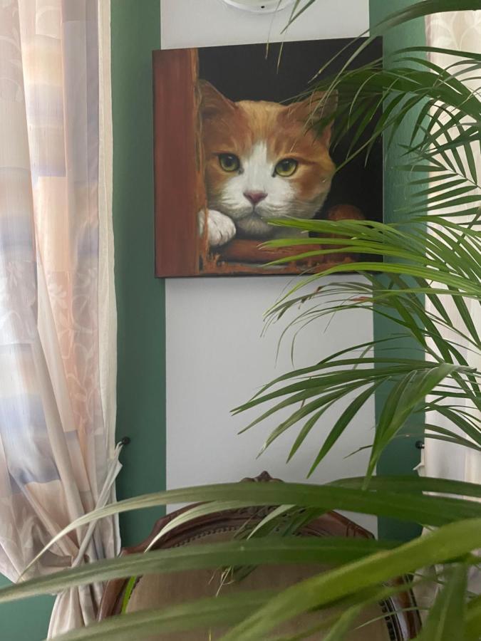 Il Giardino Di Emilia - Intero Appartamento In Villa Con Giardino Privato E Piscina Estiva Pontirolo Nuovo Esterno foto
