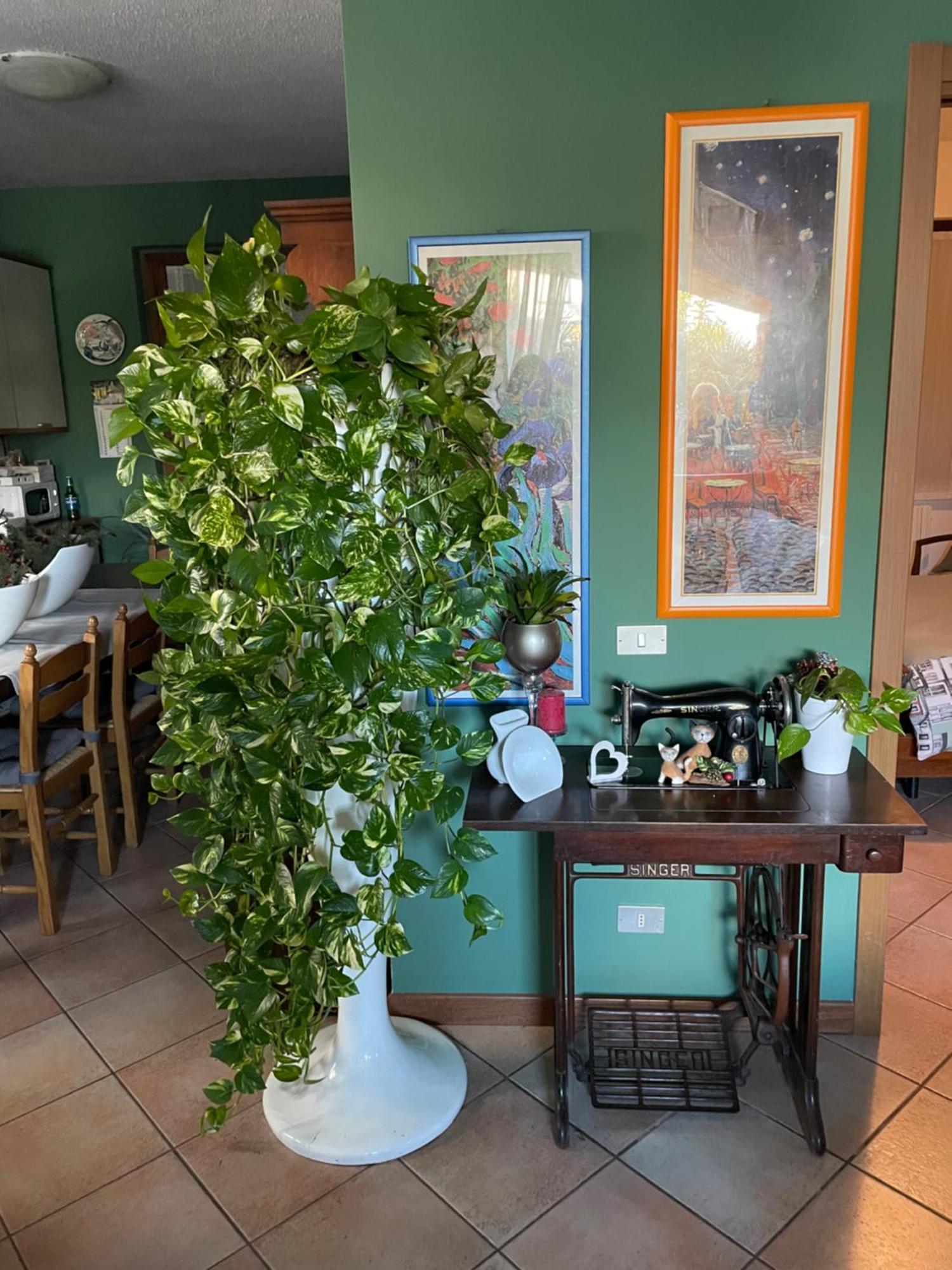 Il Giardino Di Emilia - Intero Appartamento In Villa Con Giardino Privato E Piscina Estiva Pontirolo Nuovo Esterno foto