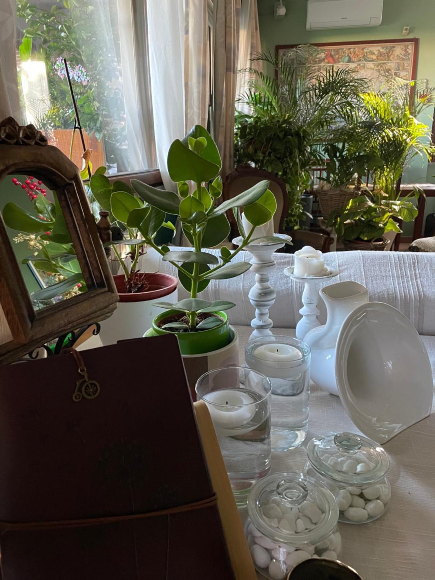 Il Giardino Di Emilia - Intero Appartamento In Villa Con Giardino Privato E Piscina Estiva Pontirolo Nuovo Esterno foto