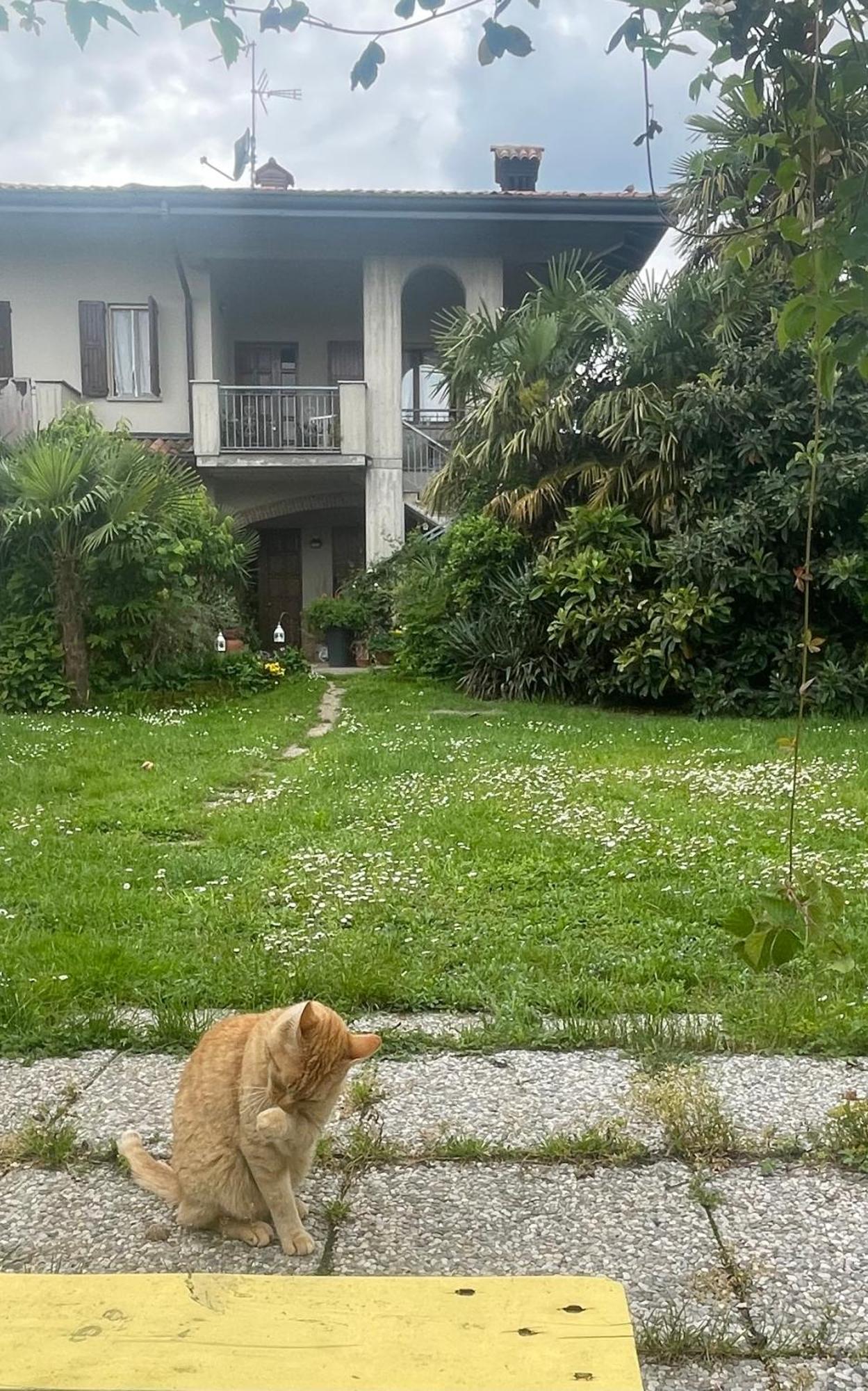 Il Giardino Di Emilia - Intero Appartamento In Villa Con Giardino Privato E Piscina Estiva Pontirolo Nuovo Esterno foto